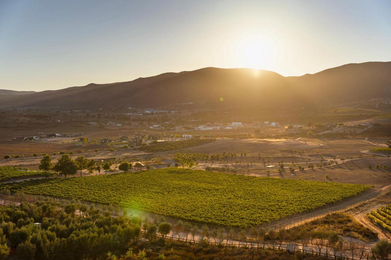 Banyan Tree Veya, Valle De Guadalupe - A Wellbeing & Wine Resort Dış mekan fotoğraf