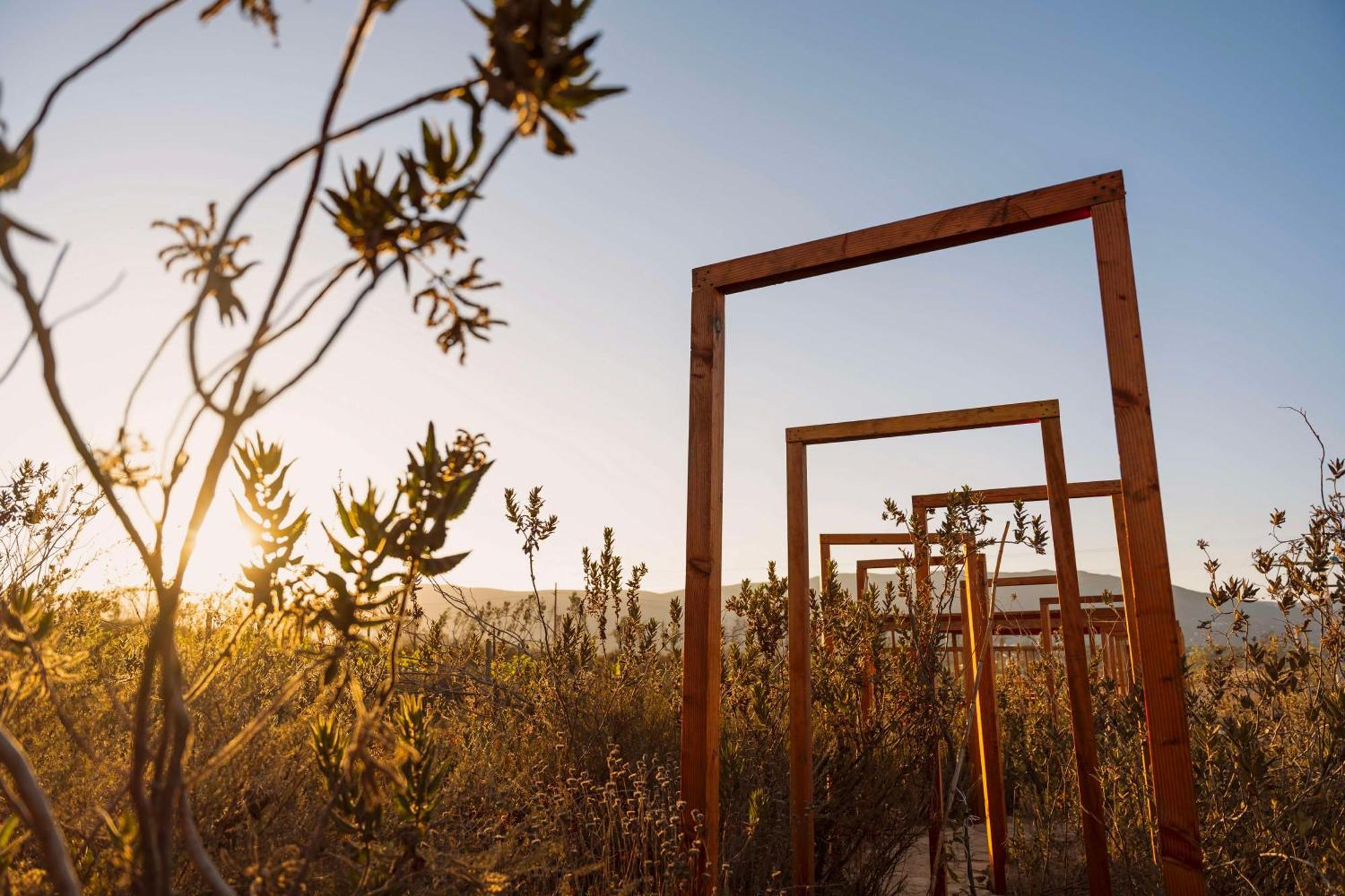 Banyan Tree Veya, Valle De Guadalupe - A Wellbeing & Wine Resort Dış mekan fotoğraf